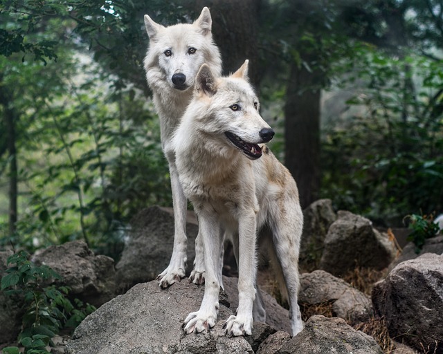 引退後の生活をサポートする保険プランとその活用法